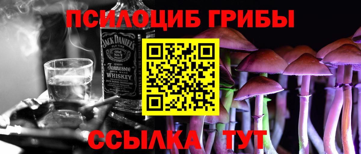 Псилоцибиновые грибы MAGIC MUSHROOMS  Вход с VPN  Шелехов 
